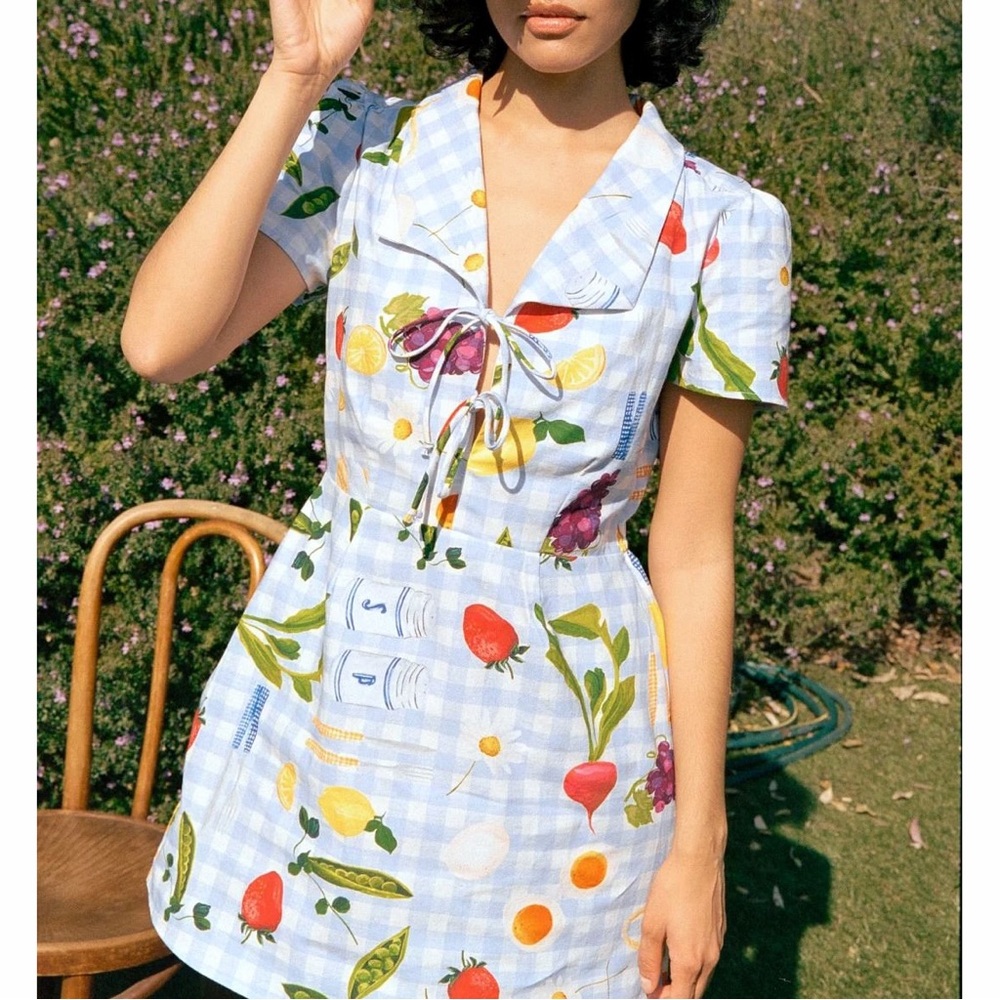 Lisa Says Gah Alexa Picnic Alfresco Print Mini Shirt Dress Blue Gingham Food XL